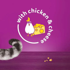 Whiskas Temptation Chicken 60gm
