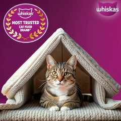 Whiskas Bag Tuna 1+ Flavour 480gm