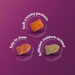 Whiskas Bag Tuna 1+ Flavour 480gm