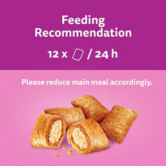 Whiskas Temptation Salmon 60gm