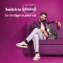 Whiskas Bag Ocean Fish 1+ 480gm