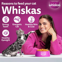 Whiskas Bag Tuna 1+ Flavour 480gm