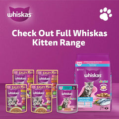 Whiskas Bag Kitten Ocean Fish 1.1kg