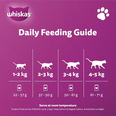 Whiskas Bag Ocean Fish 1+ 1.2kg