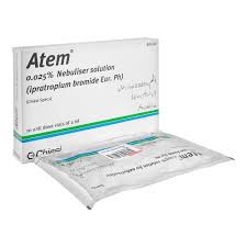 Chiesi Pharmaceuticals Atem Nebulizer Solution, 2ml, 0.25%