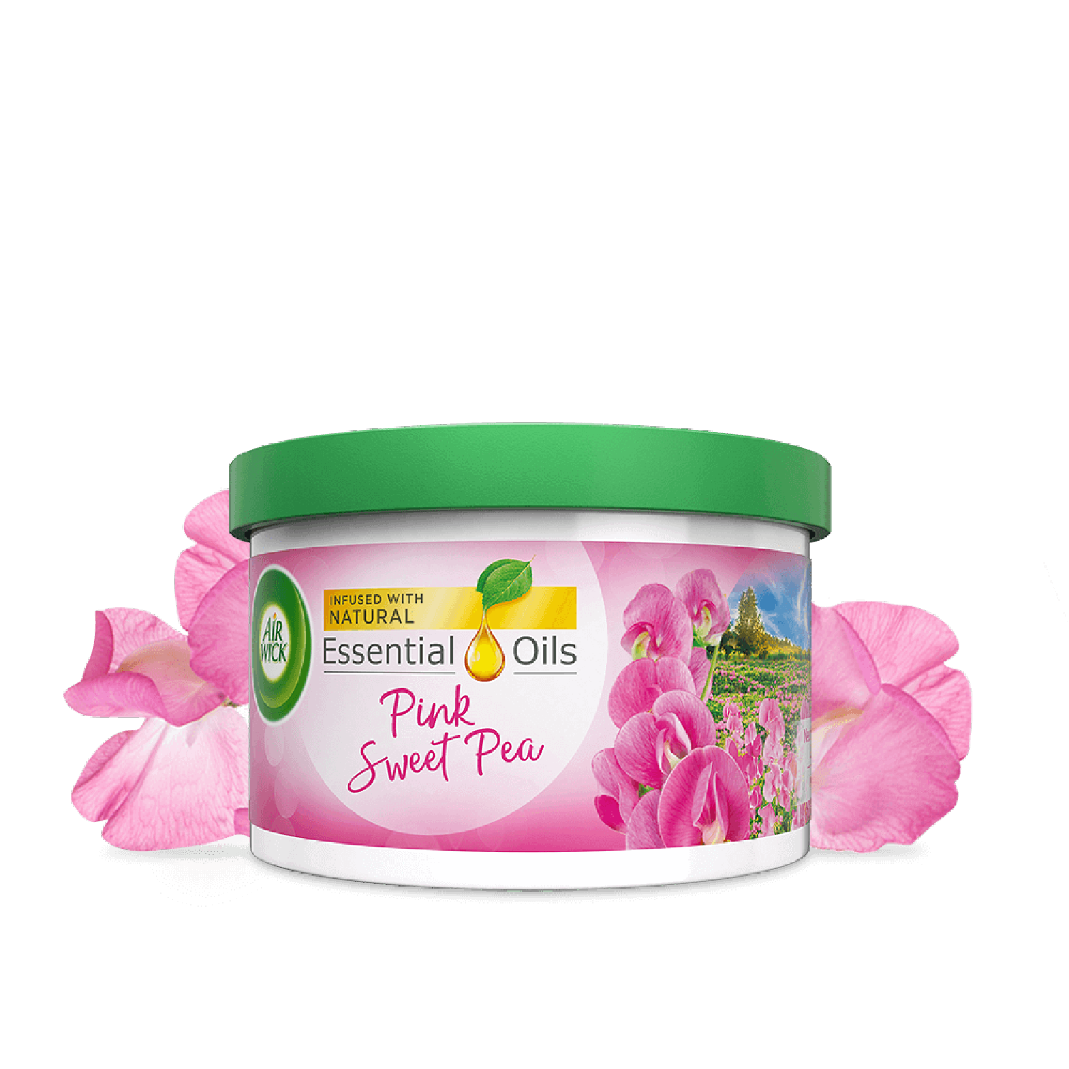 AIRWICK SCENTED GEL SWEET PEA 70G