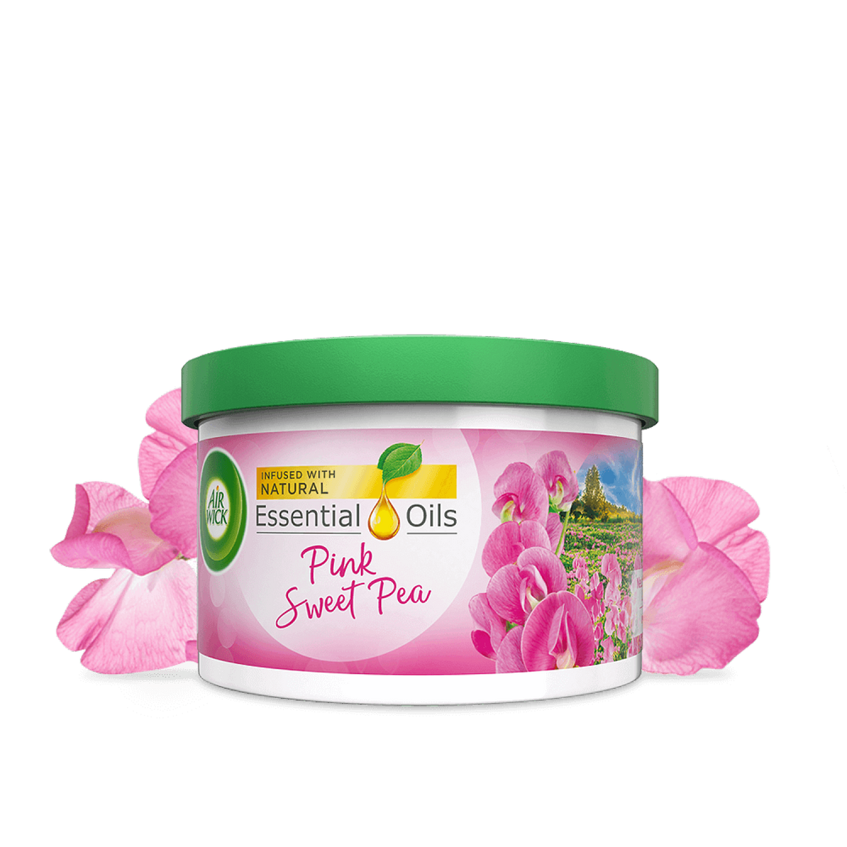 AIRWICK SCENTED GEL SWEET PEA 70G