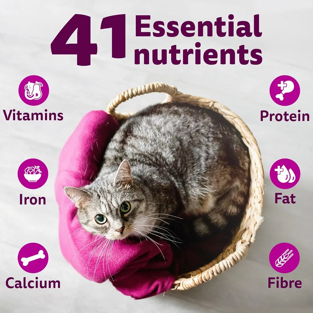 Whiskas Bag Tuna 1+ Flavour 480gm