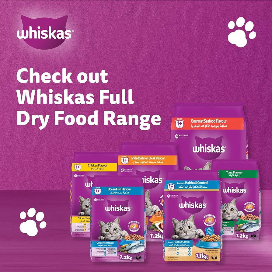 Whiskas Bag Chicken 1+ 480gm